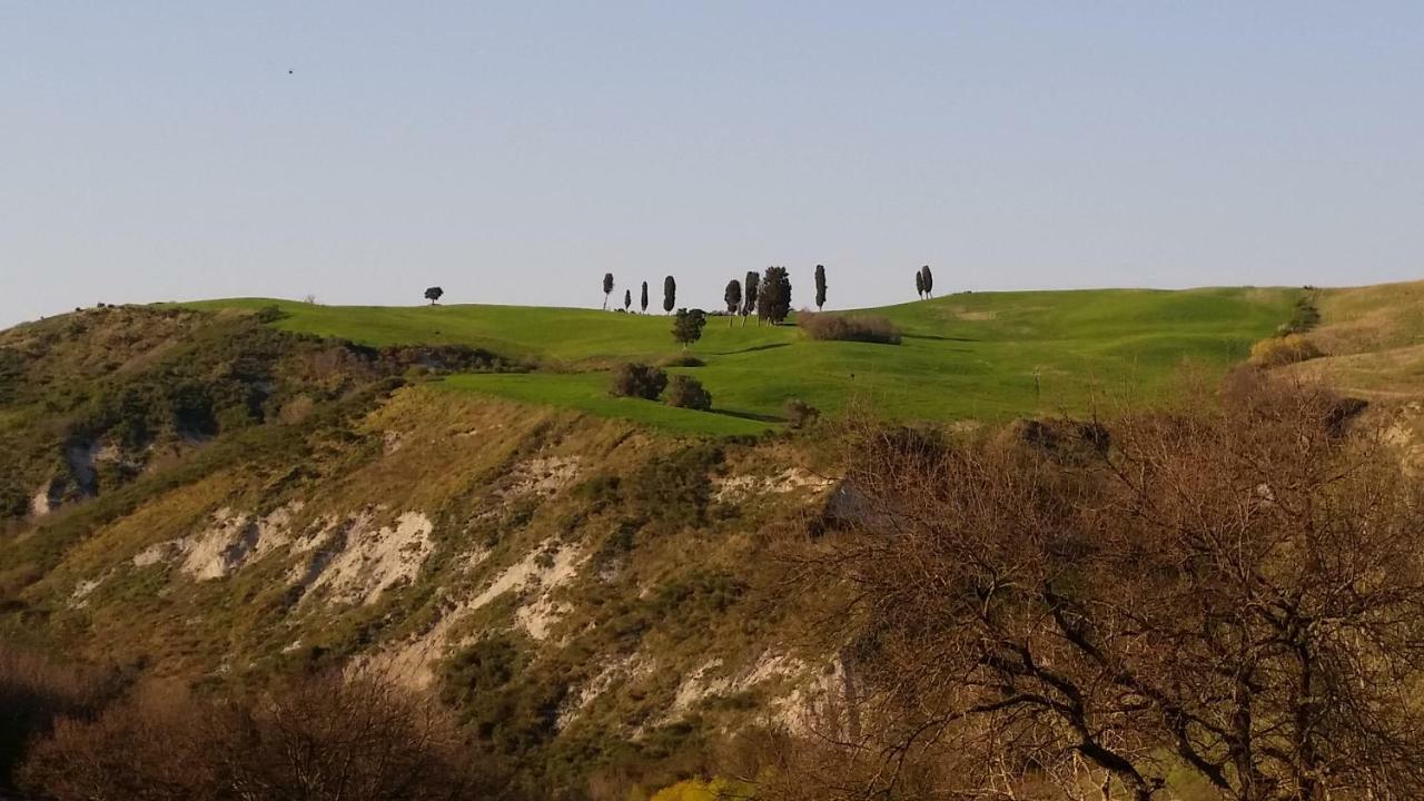 Agriturismo La Quiete Pensionat Volterra Eksteriør billede